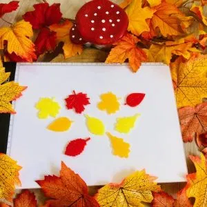 Herfstblaadjes lichttafel