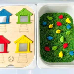 Speeldeksel kippenhok