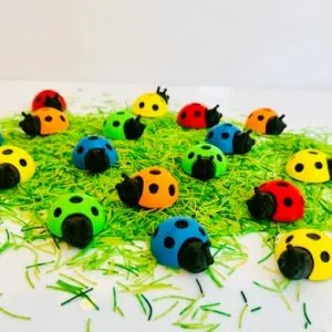 Gekleurde lieveheersbeestjes