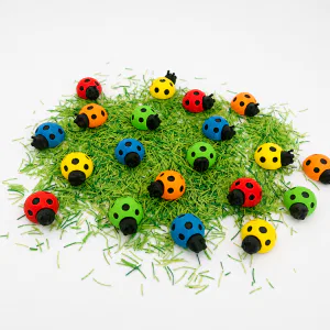 Gekleurde lieveheersbeestjes