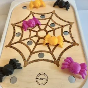 Speeldeksel spinnenweb