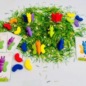 Set van 6 vinder lijfjes en 12 vleugels.