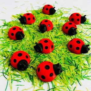 Lieveheersbeestjes rood