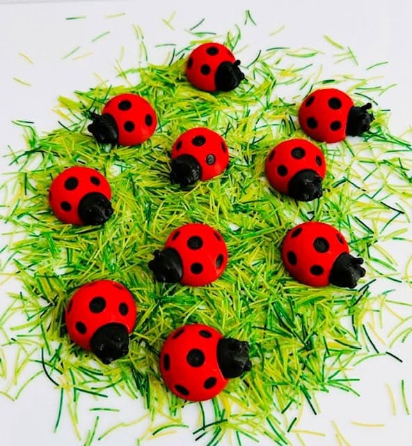 Lieveheersbeestjes rood - Afbeelding 2