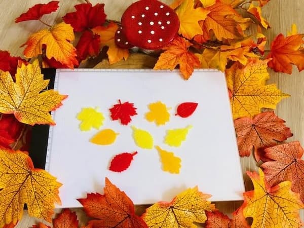 Herfstblaadjes lichttafel