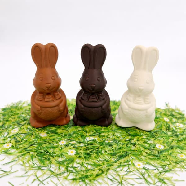Chocolade paashaas