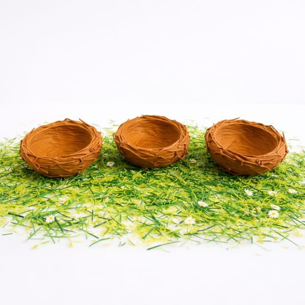 Nestjes